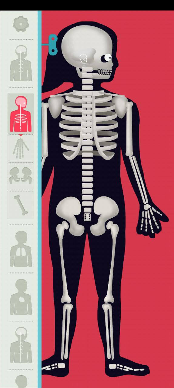 人体探秘app下载最新_人体探秘应用纯净版下载v1.0